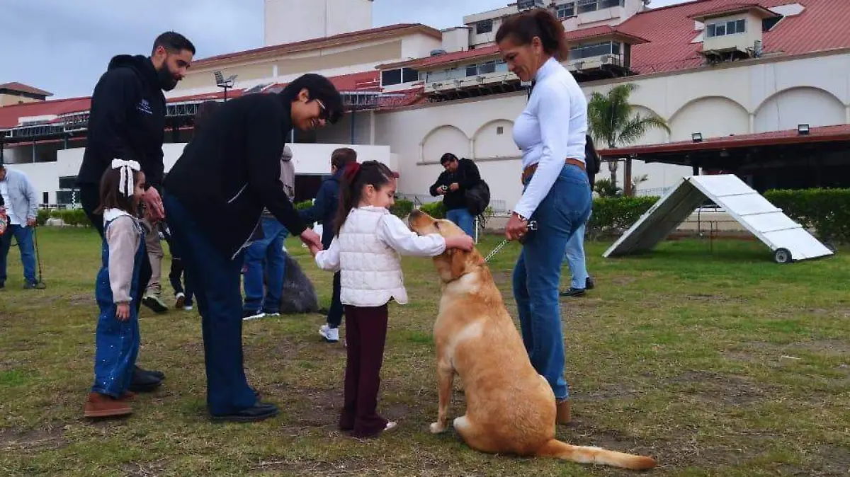 WhatsApp Image 2026-01-24 at 11.35.26