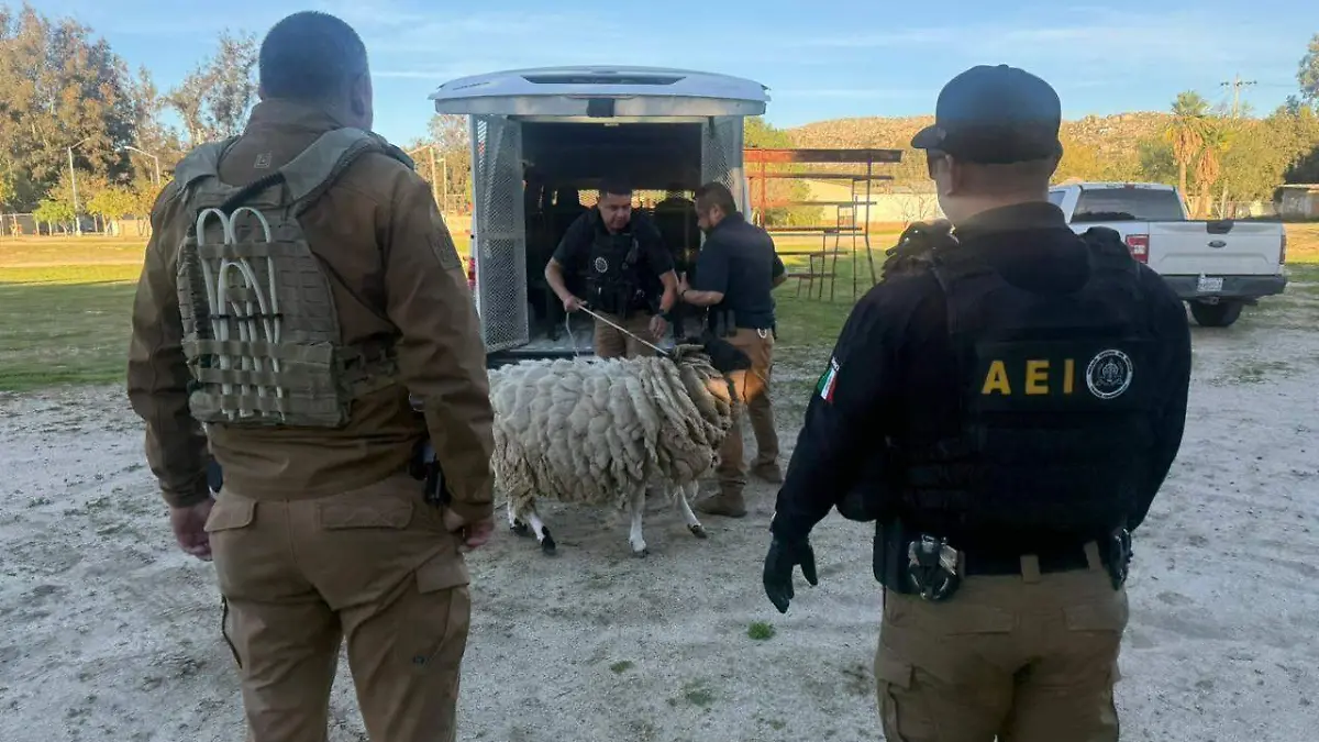 WhatsApp Image 2026-01-25 at 5.07.06 PM