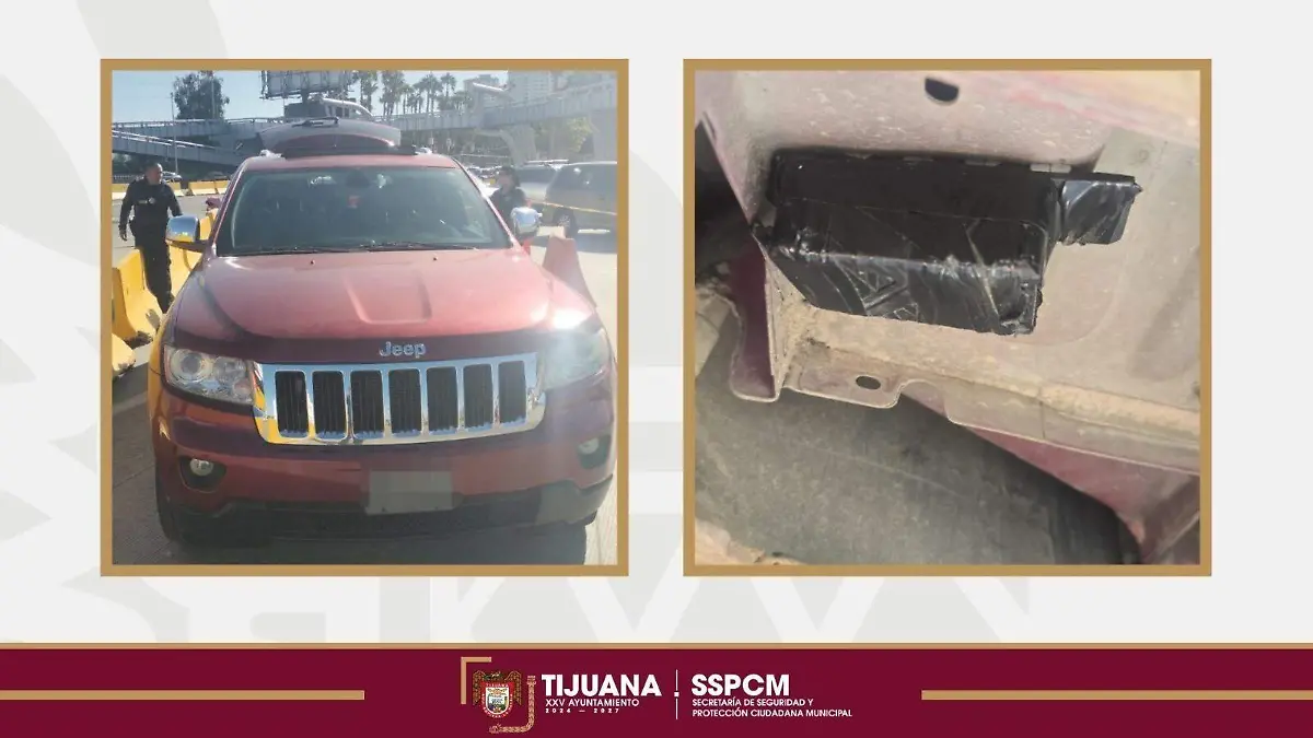 WhatsApp Image 2026-01-29 at 6.56.19 PM