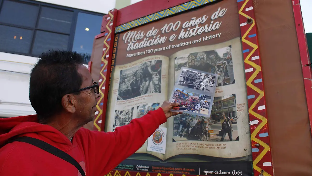 Burro-cebra-avenida Revolución