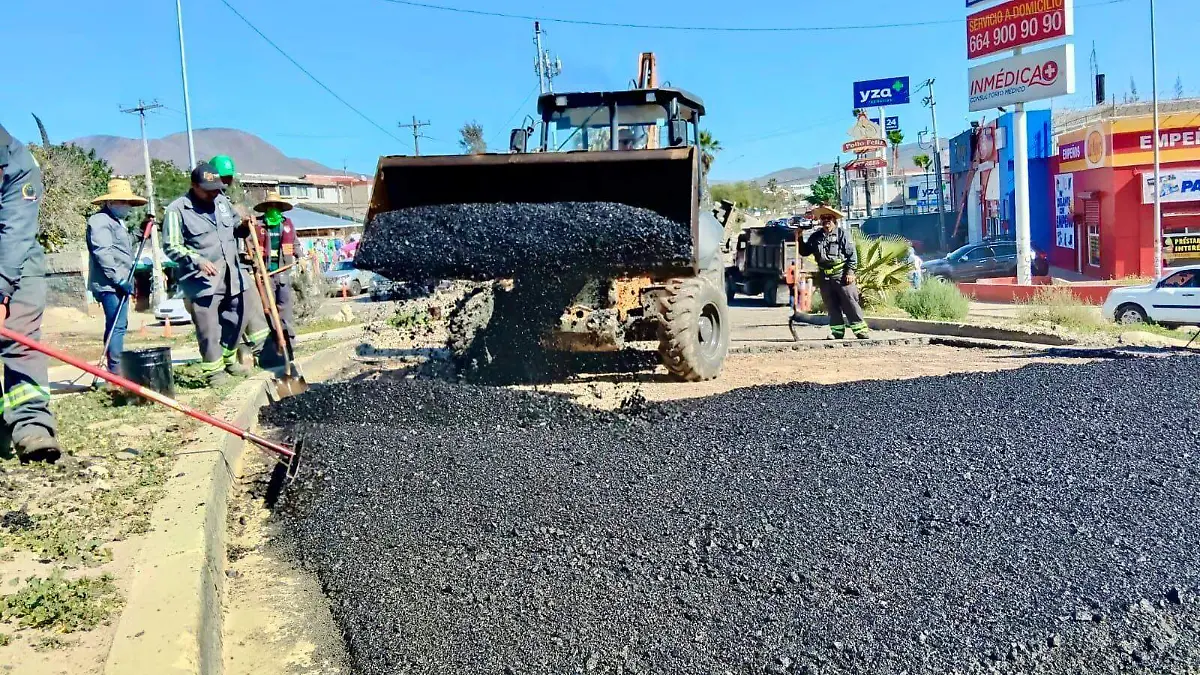 WhatsApp Image 2026-02-02 at 2.08.39 PM