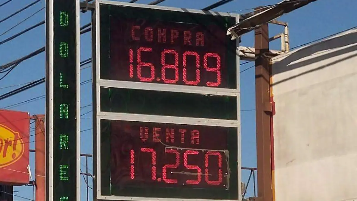 WhatsApp Image 2026-02-04 at 09.18.29