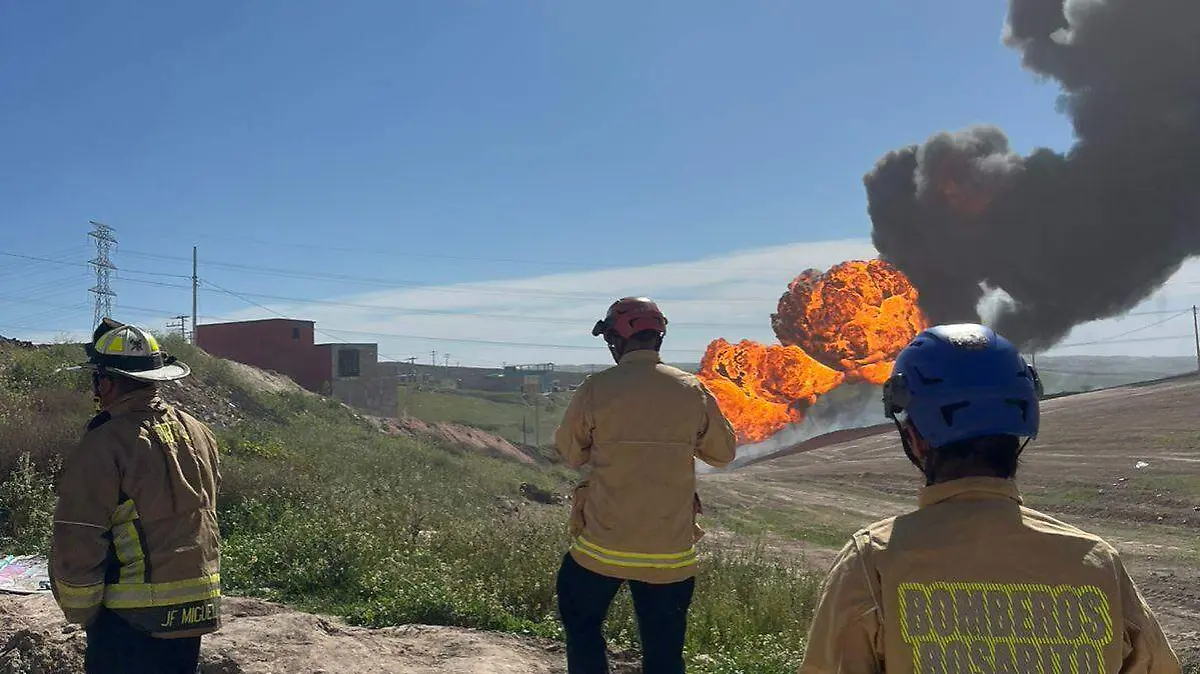 WhatsApp Image 2026-02-04 at 1.14.55 PM