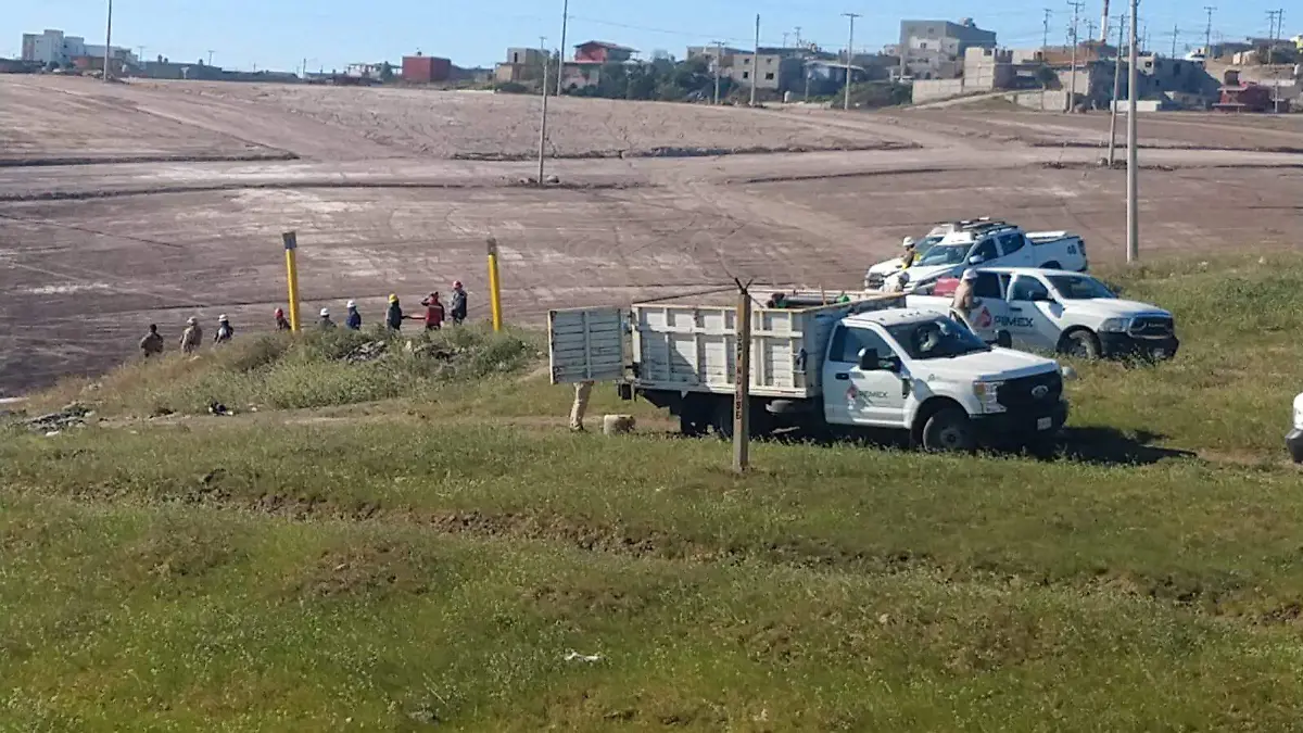 WhatsApp Image 2026-02-04 at 15.05.51