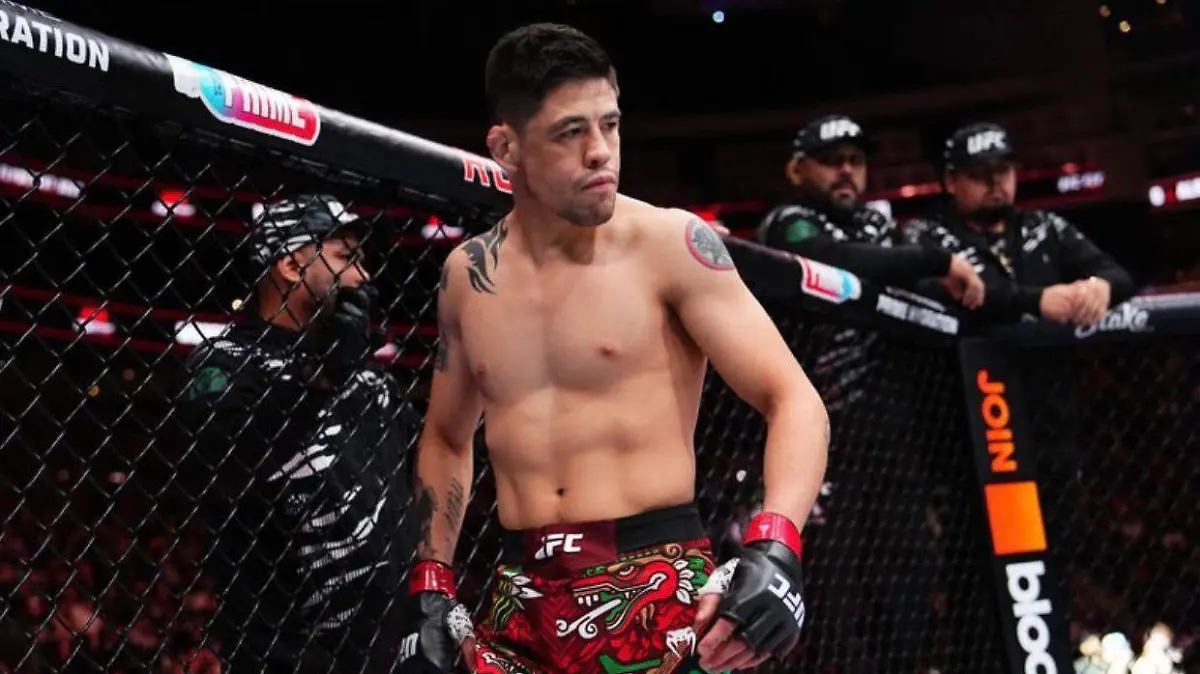 WhatsApp Image 2026-02-04 at 4.30.04 PM