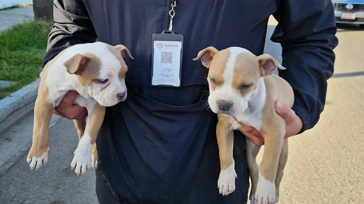 WhatsApp Image 2026-02-04 at 4.11.09 PM