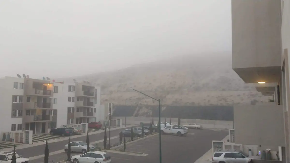 WhatsApp Image 2026-02-08 at 10.59.10 AM