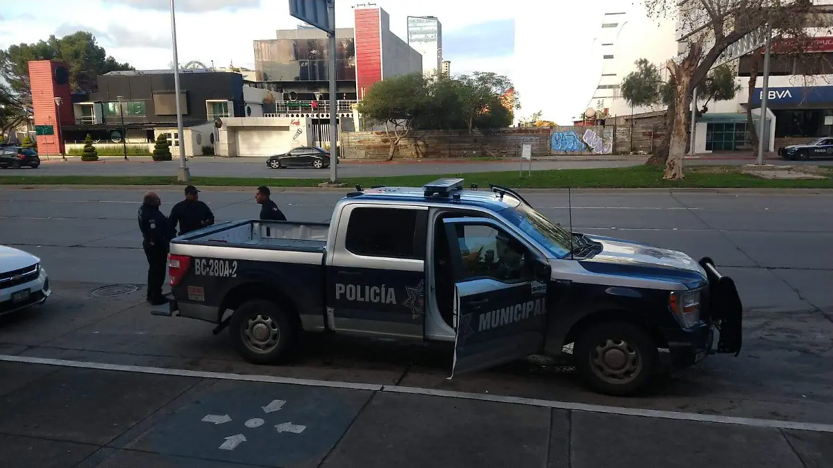 WhatsApp Image 2026-02-08 at 10.57.38 AM