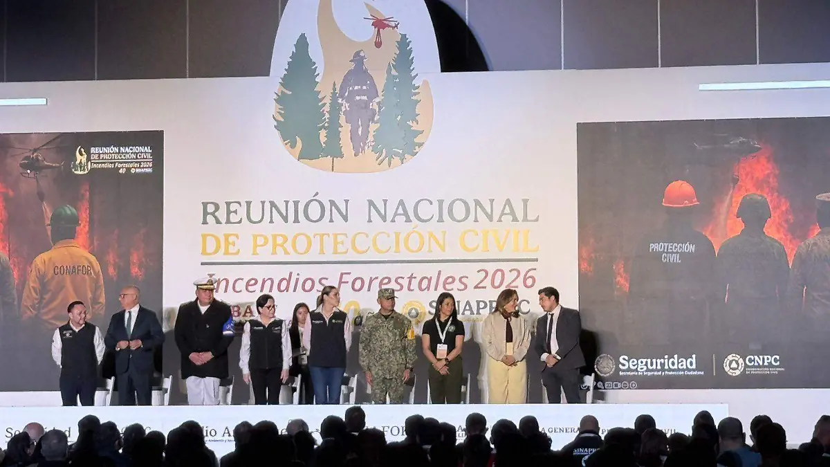 WhatsApp Image 2026-02-09 at 15.46.33