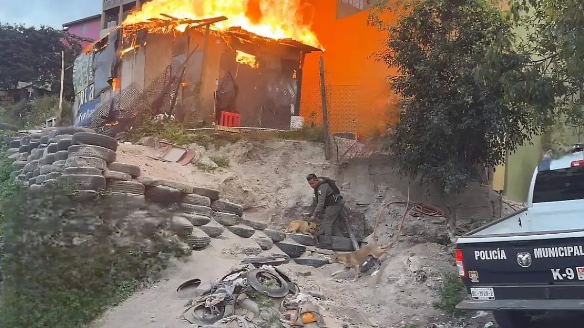 WhatsApp Image 2026-02-10 at 5.21.44 PM