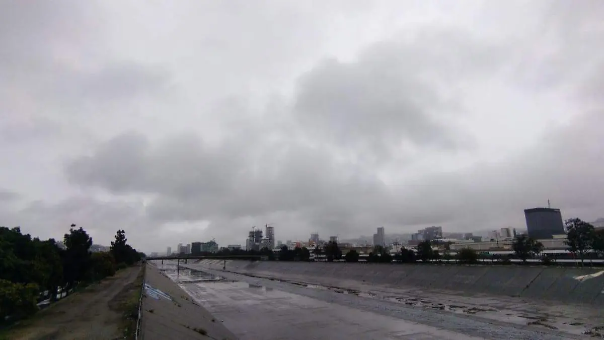 WhatsApp Image 2026-02-11 at 9.56.55 AM