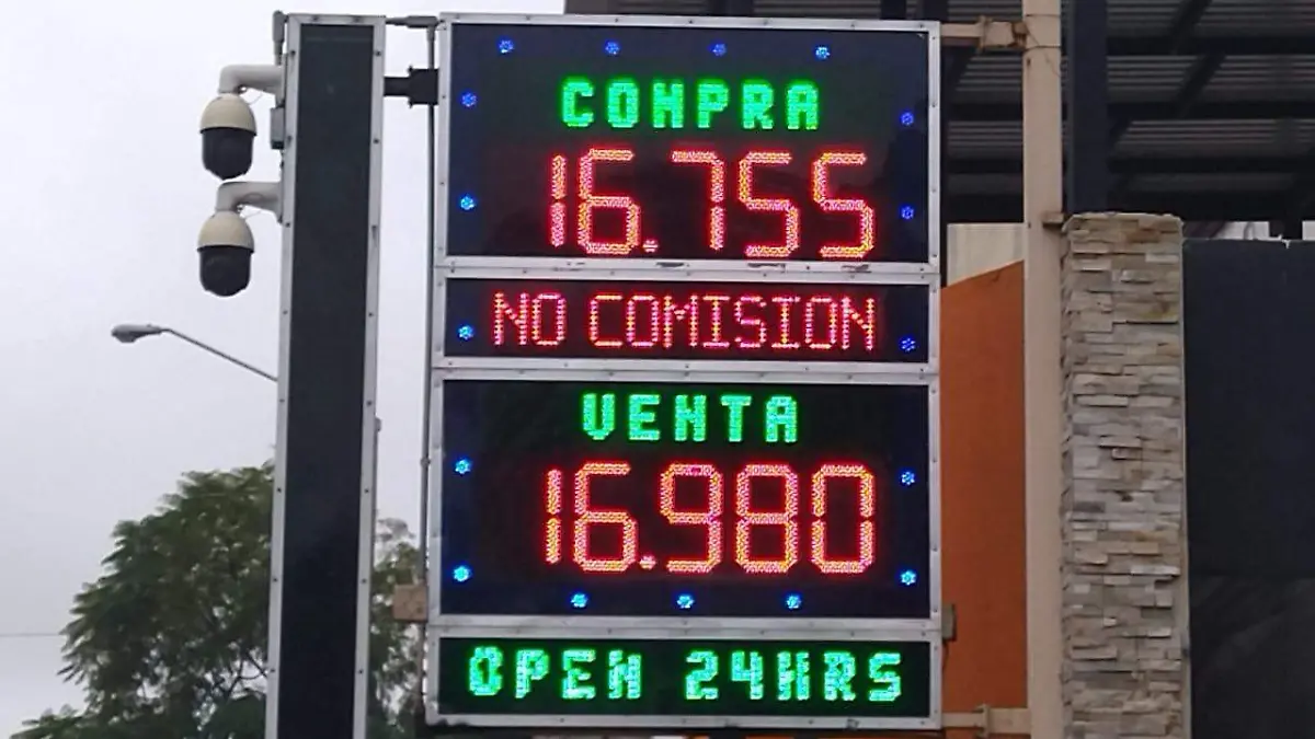 WhatsApp Image 2026-02-11 at 10.05.44 AM