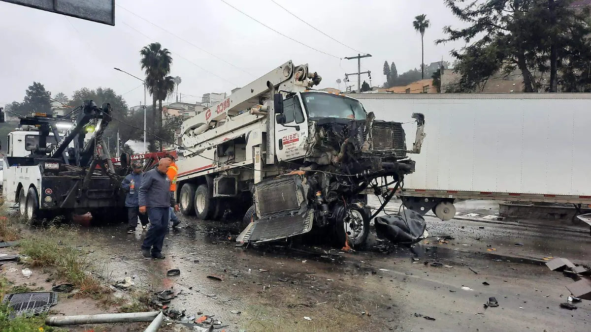 WhatsApp Image 2026-02-11 at 4.10.42 PM