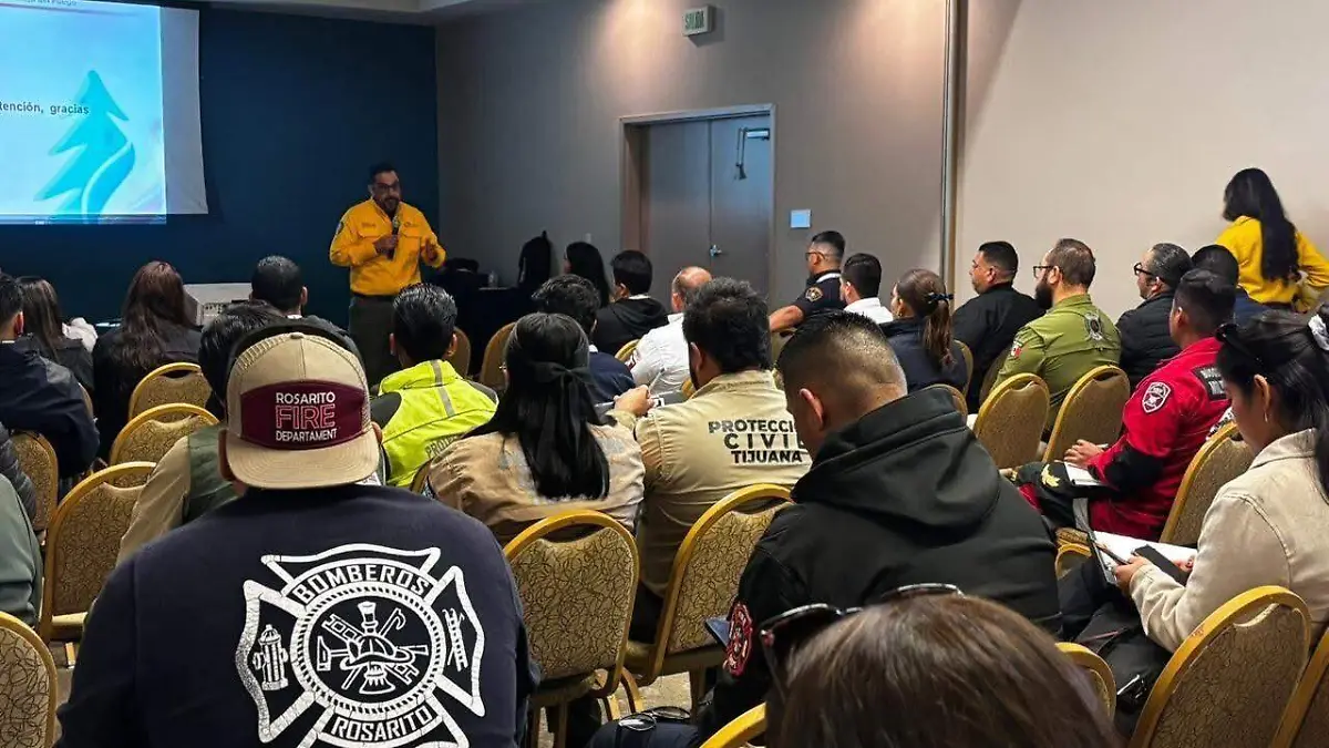 WhatsApp Image 2026-02-13 at 5.32.17 PM