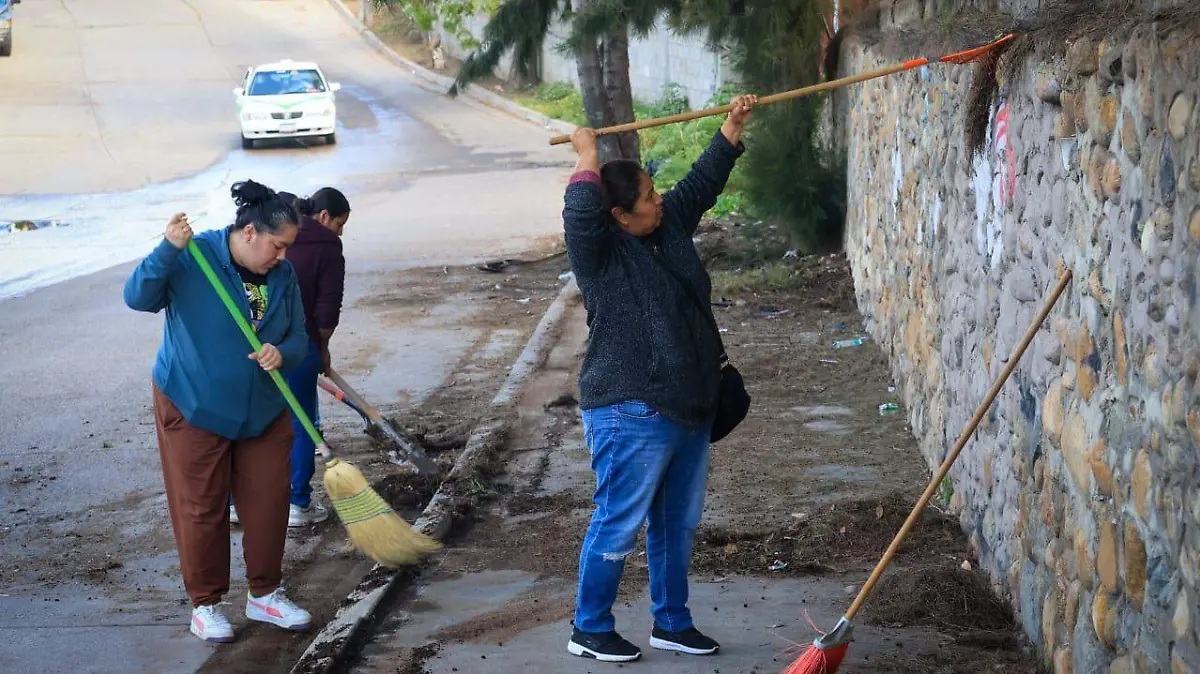 WhatsApp Image 2026-02-13 at 5.26.24 PM