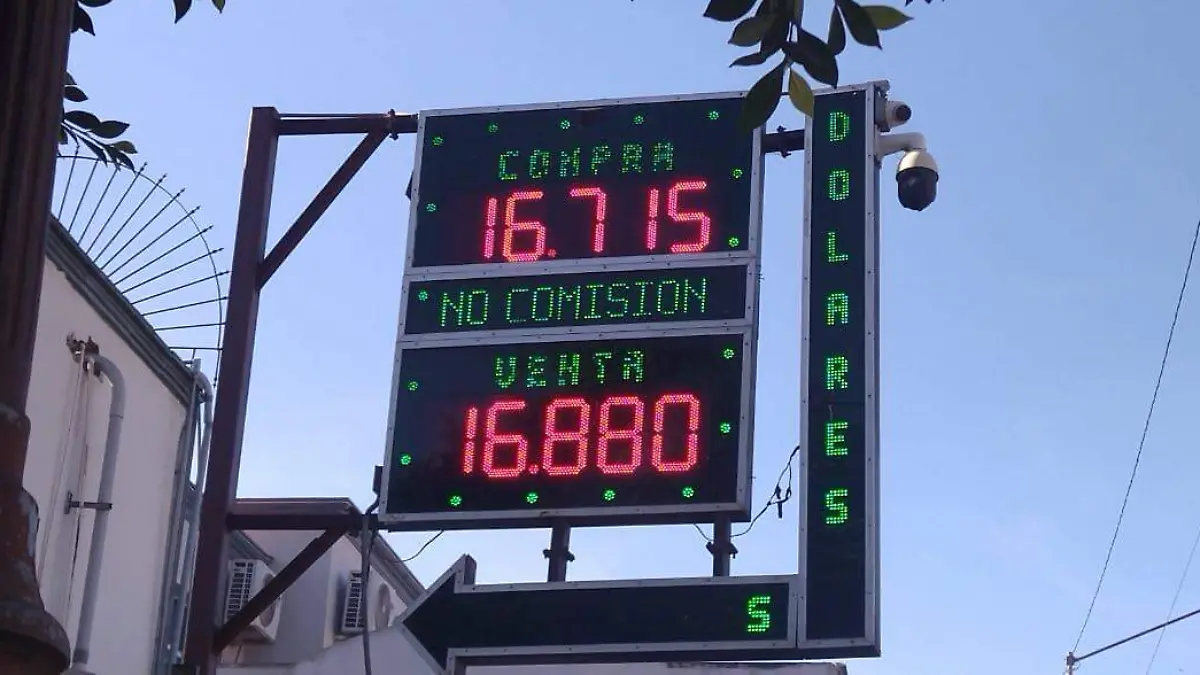 WhatsApp Image 2026-02-14 at 09.50.26