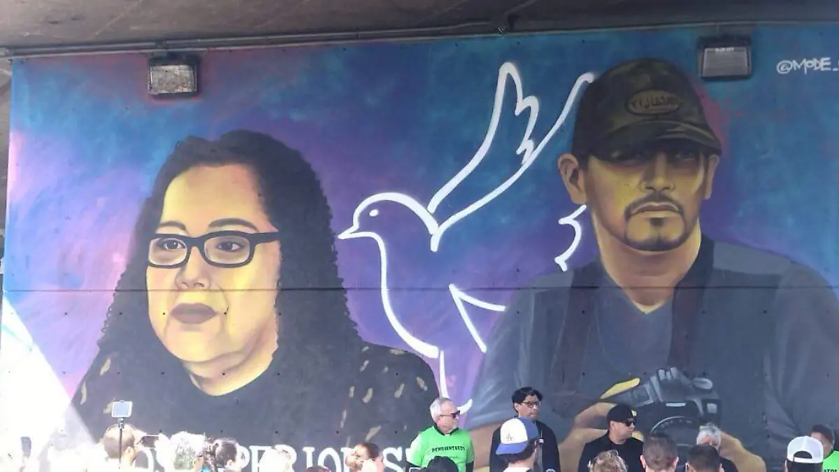 WhatsApp Image 2026-02-14 at 14.21.16