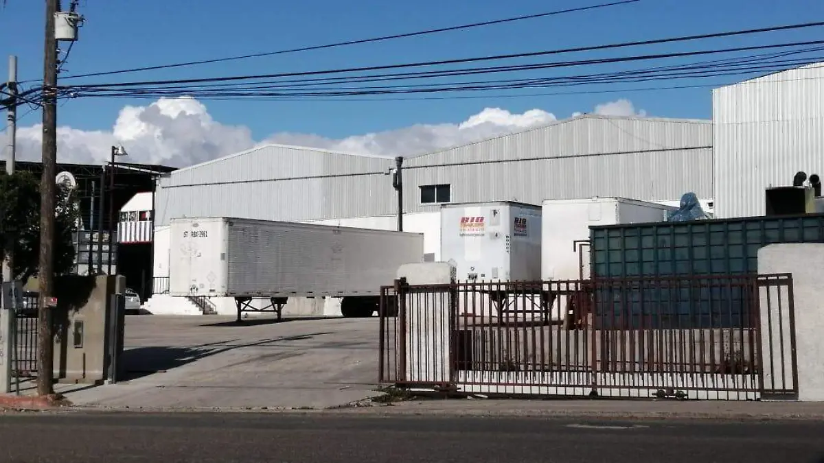 WhatsApp Image 2026-02-15 at 11.14.54 AM