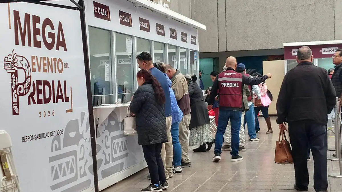 WhatsApp Image 2026-02-15 at 12.44.49 PM