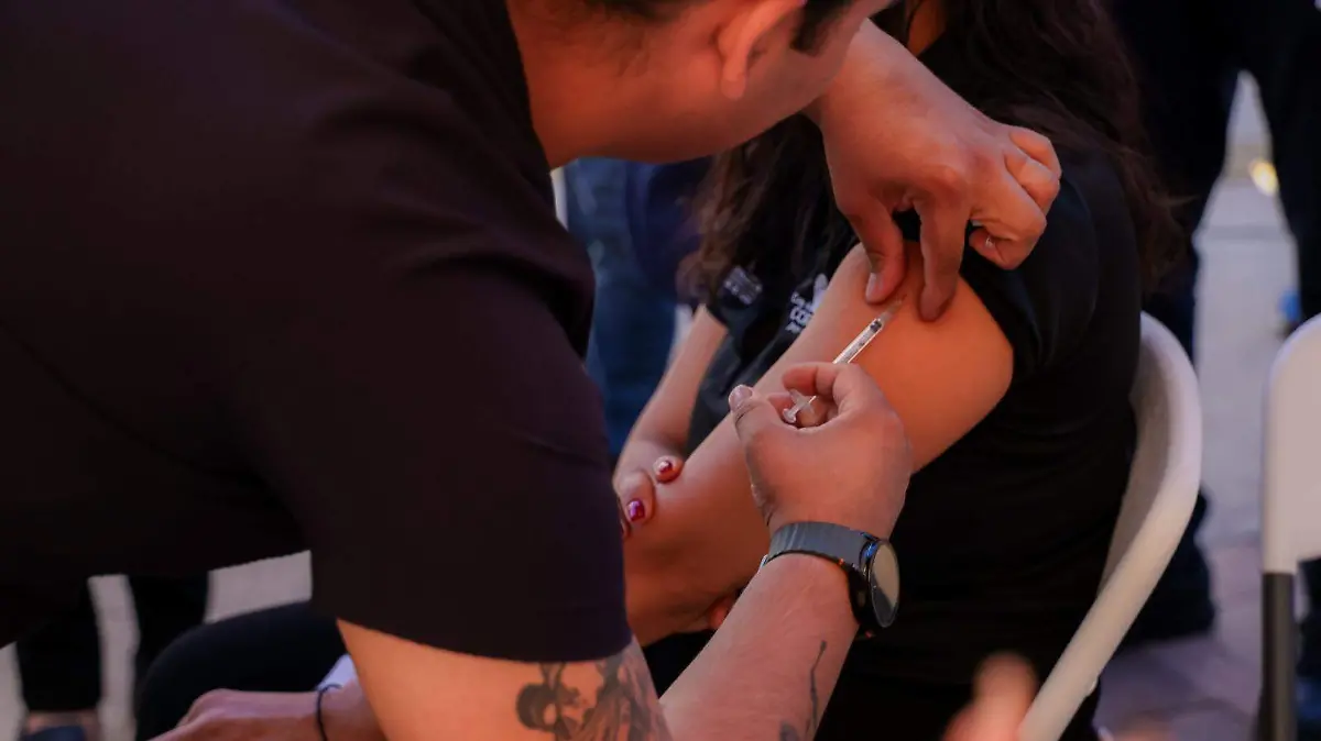 WhatsApp Image 2026-02-16 at 2.26.34 PM