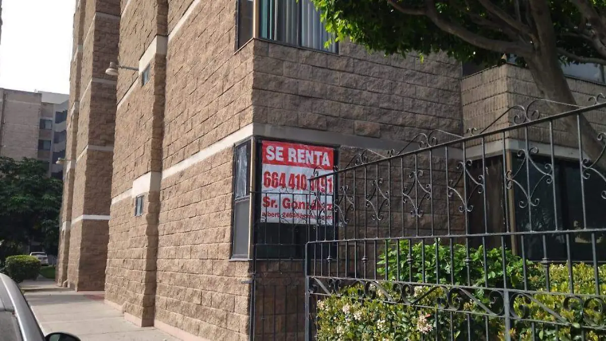 WhatsApp Image 2026-02-17 at 1.19.44 PM