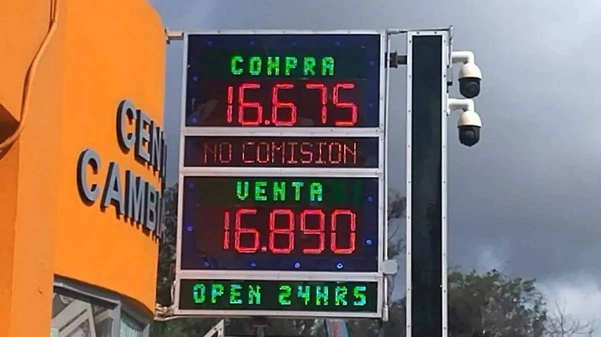 WhatsApp Image 2026-02-18 at 11.10.31 AM