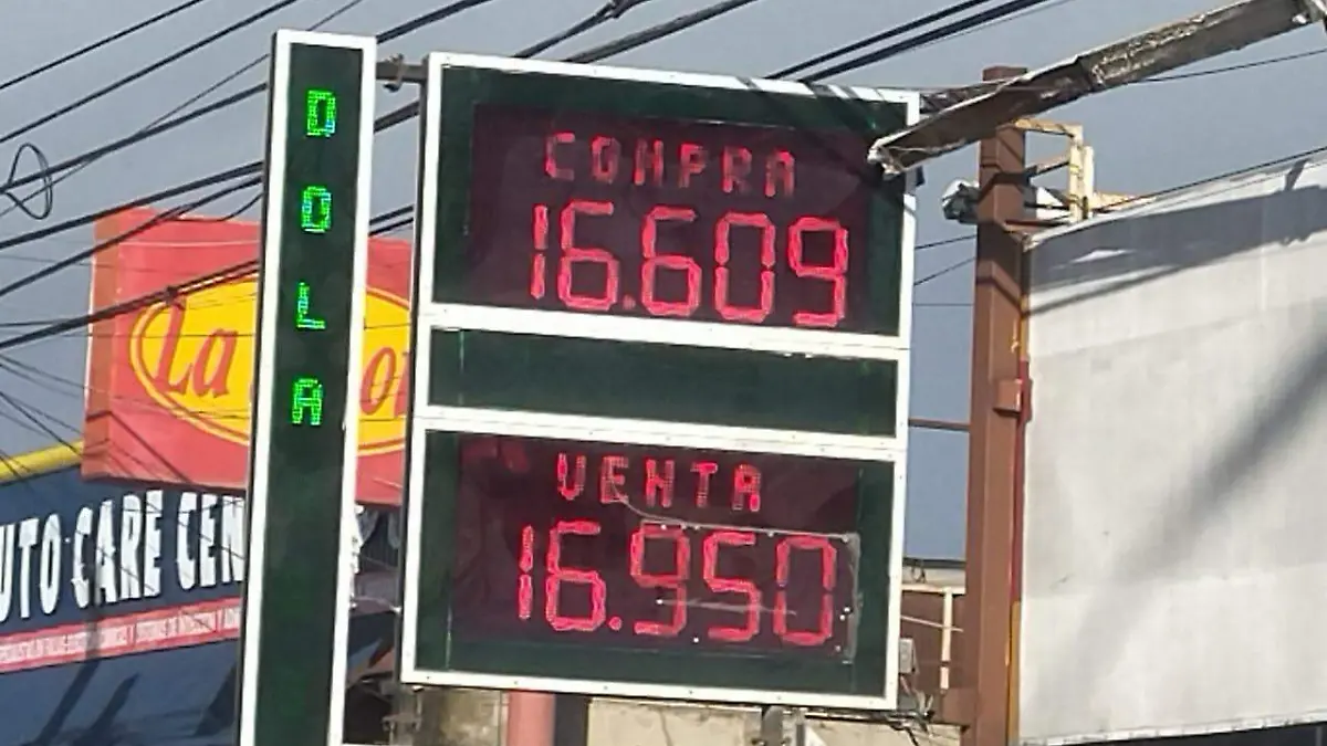 WhatsApp Image 2026-02-19 at 8.20.11 AM