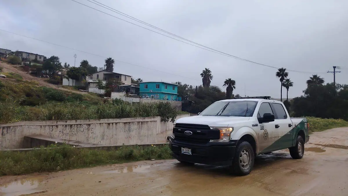 WhatsApp Image 2026-02-19 at 7.31.09 PM