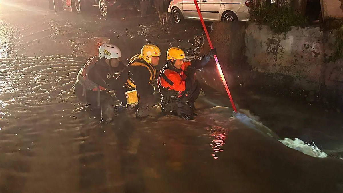 WhatsApp Image 2026-02-19 at 9.12.07 PM