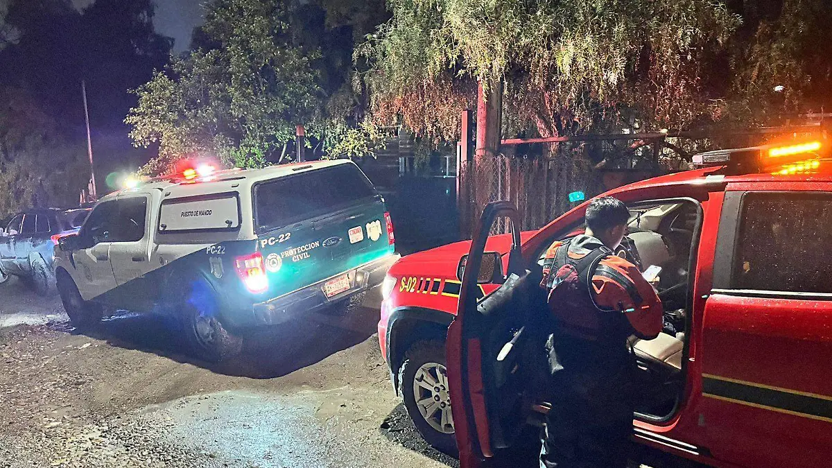 WhatsApp Image 2026-02-20 at 5.29.40 PM (1)