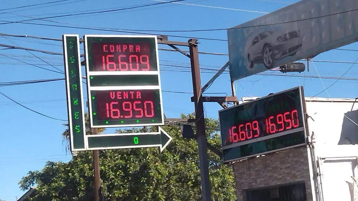 WhatsApp Image 2026-02-21 at 9.31.15 AM