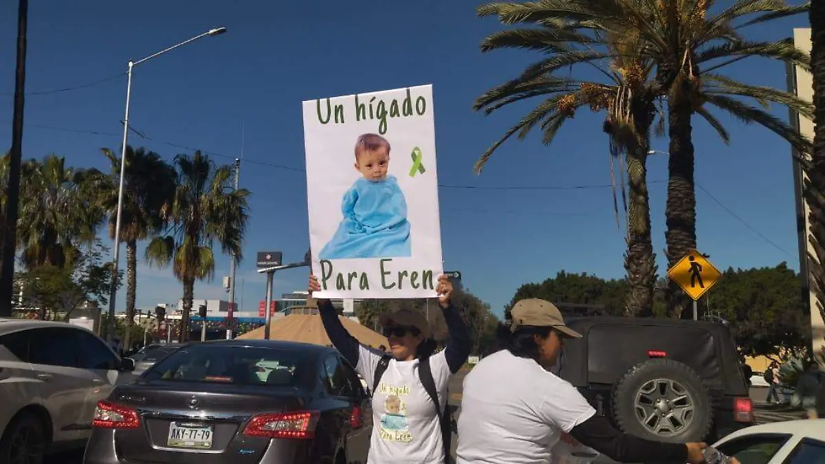 WhatsApp Image 2026-02-21 at 10.32.27 AM (1)