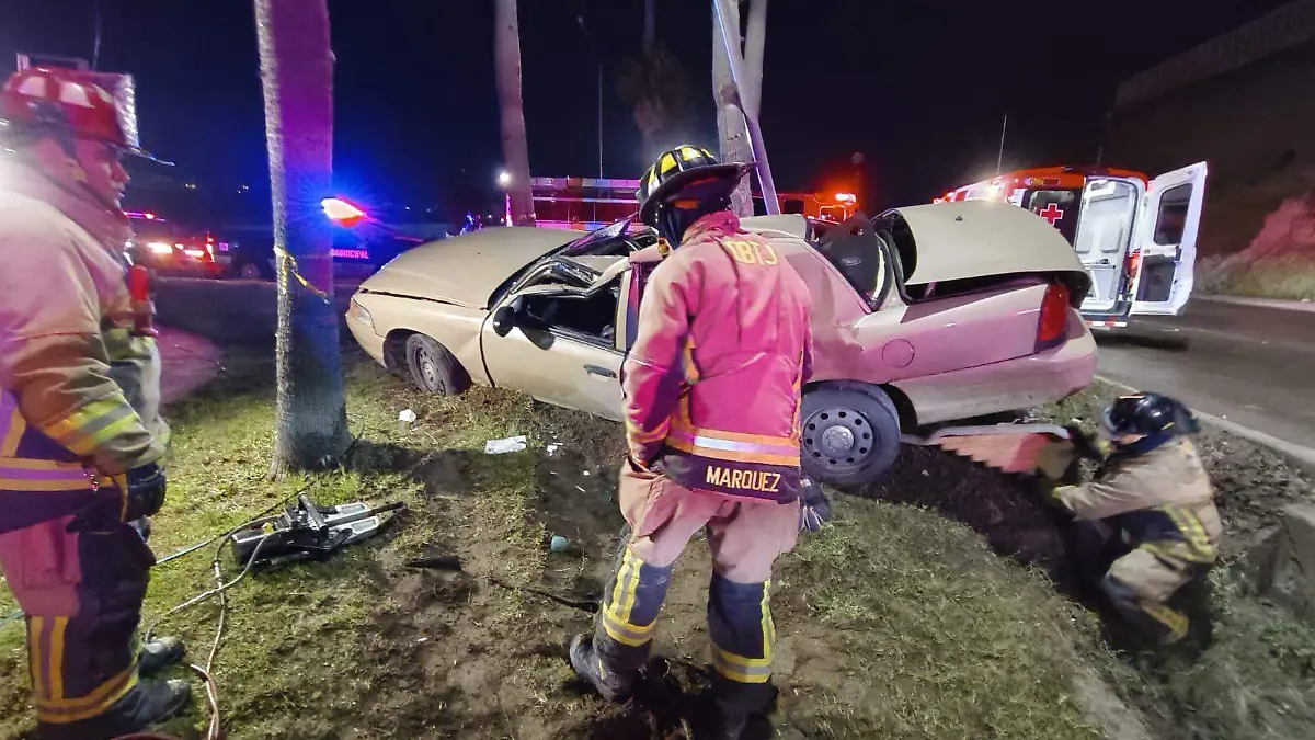 WhatsApp Image 2026-02-21 at 10.54.02 AM