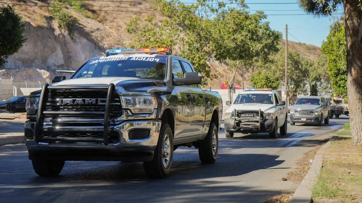 WhatsApp Image 2026-02-22 at 11.54.55 AM