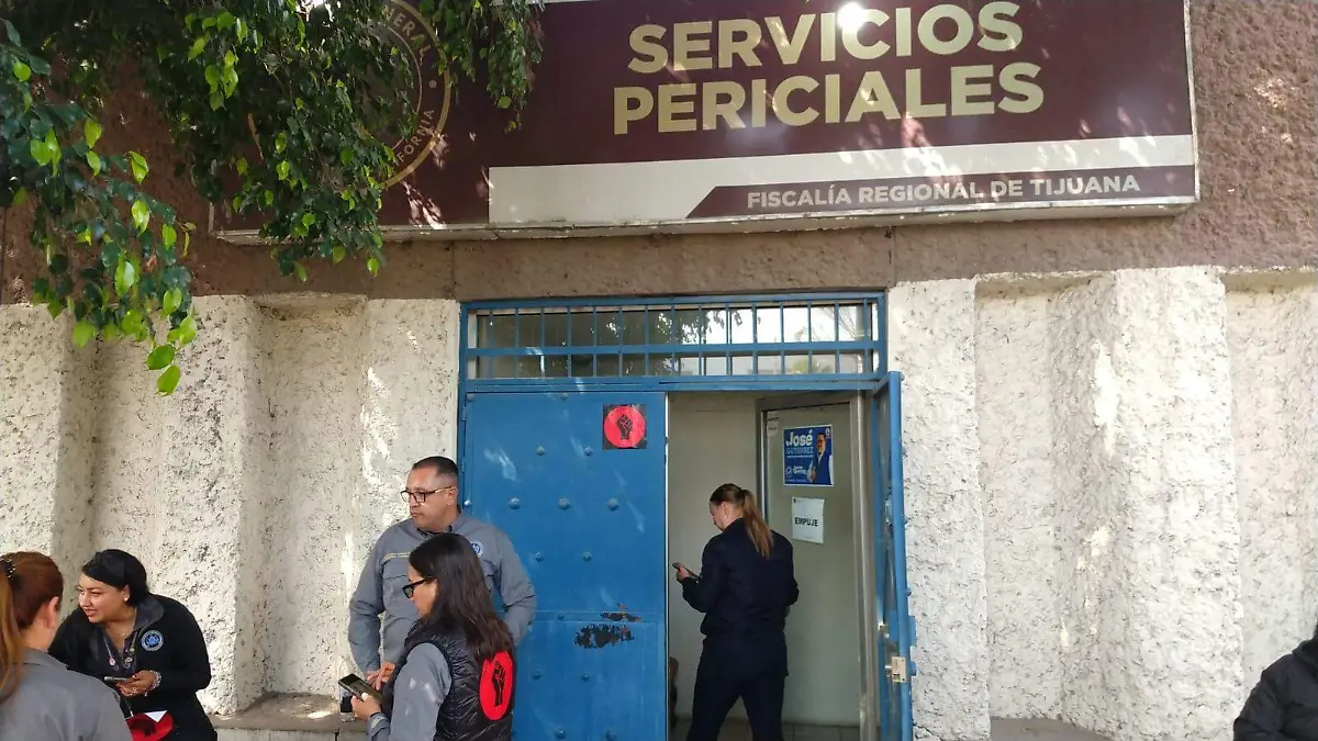 WhatsApp Image 2026-02-24 at 1.22.03 PM