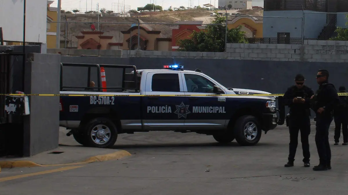 240291BUENA