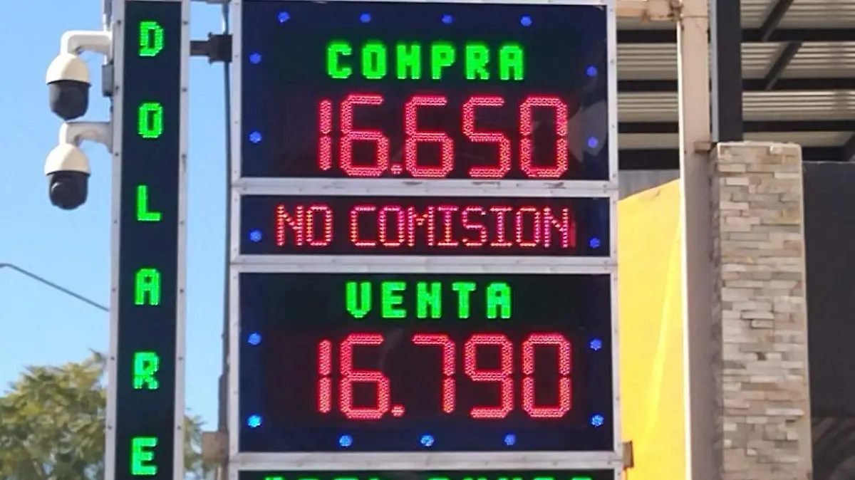 WhatsApp Image 2026-02-27 at 10.12.25