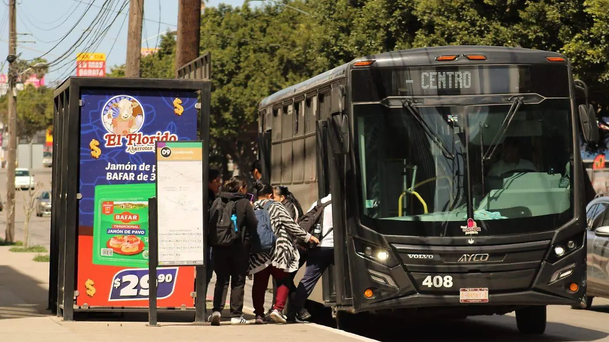 WhatsApp Image 2026-03-01 at 10.46.13 AM