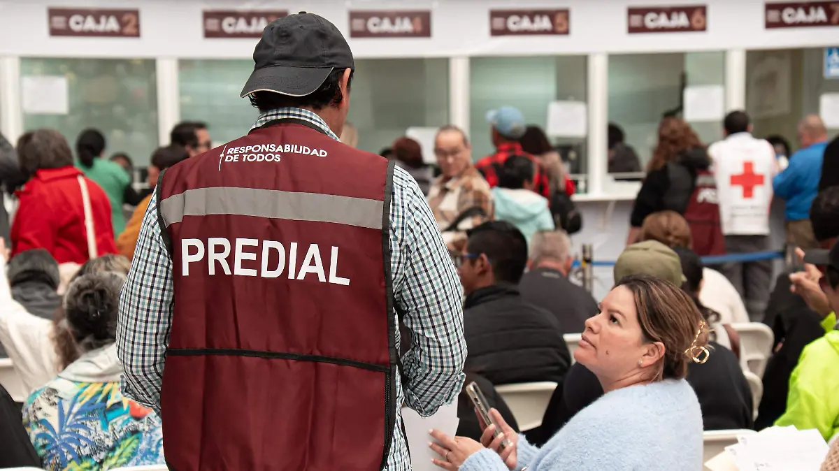 WhatsApp Image 2026-03-03 at 2.44.25 PM