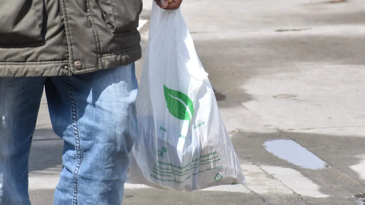 cl-bolsas de plastico (1)