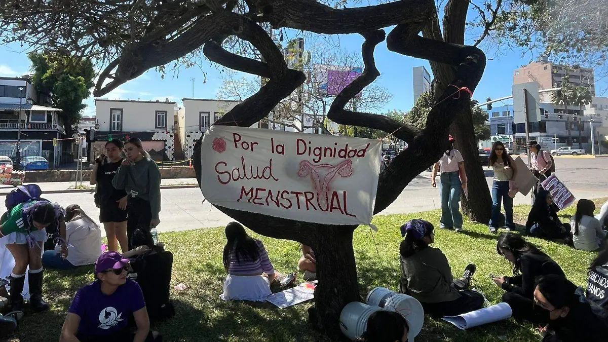 WhatsApp Image 2026-03-08 at 2.54.53 PM (1)