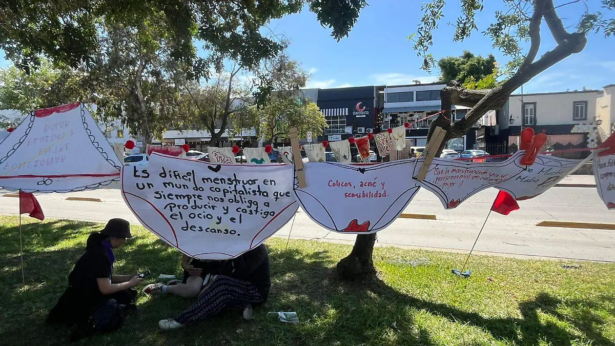 Marcha 8M- tendedero