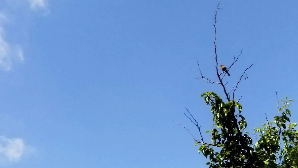 WhatsApp Image 2026-03-10 at 12.51.34 PM