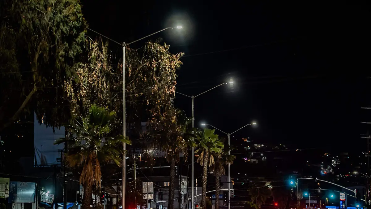 WhatsApp Image 2026-03-10 at 16.49.17