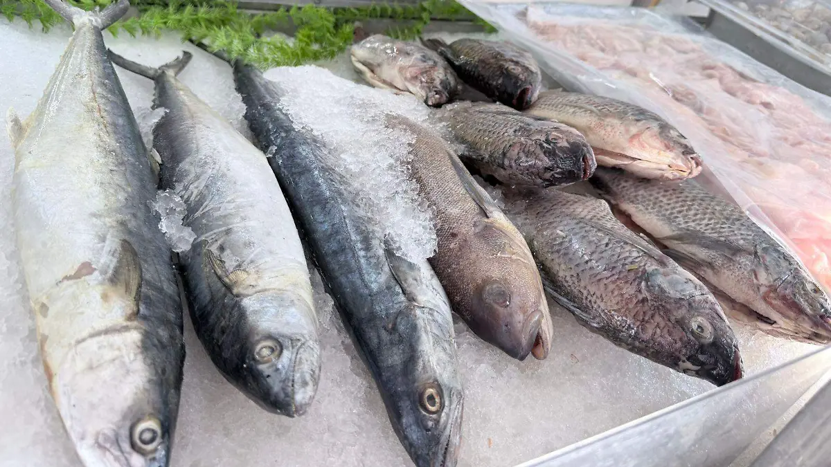 WhatsApp Image 2026-03-18 at 10.51.29