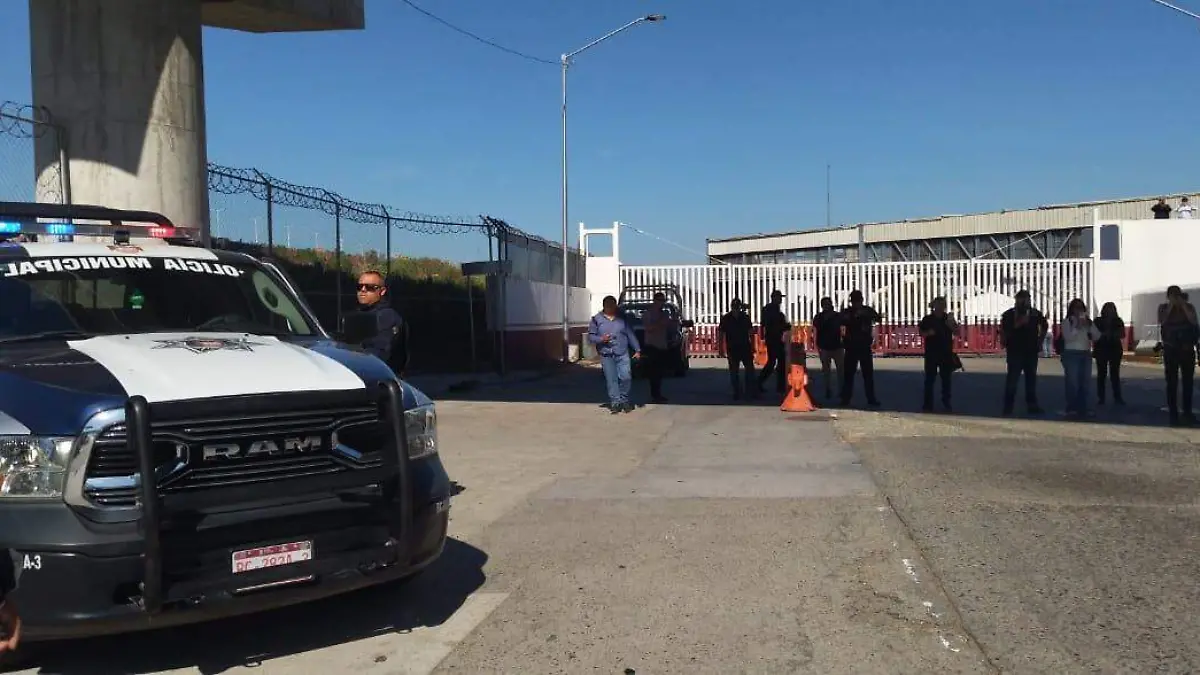 WhatsApp Image 2026-03-18 at 10.33.16