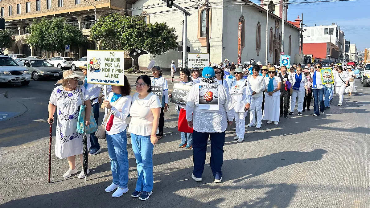 WhatsApp Image 2026-03-22 at 10.30.16 AM