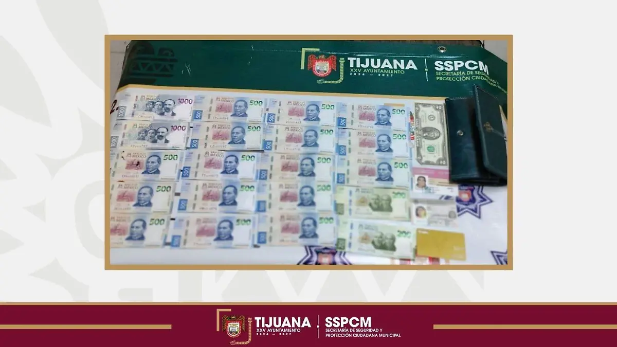 WhatsApp Image 2026-03-24 at 6.46.16 PM