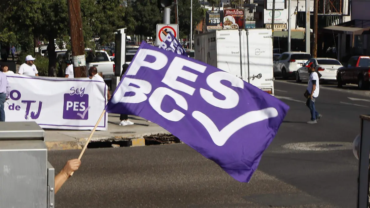 71-cl. pes-partido político -(1)