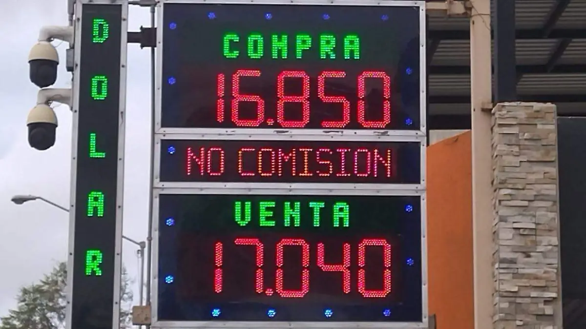 WhatsApp Image 2026-03-31 at 10.13.54